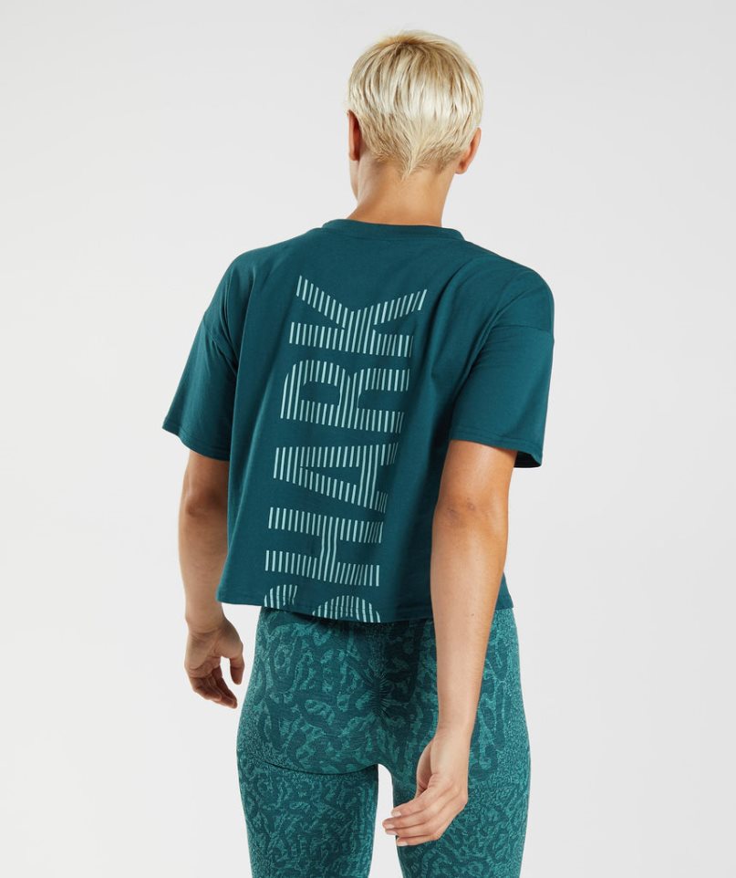 Women's Gymshark 315 Midi T-Shirts Turquoise | NZ 2DQAUE